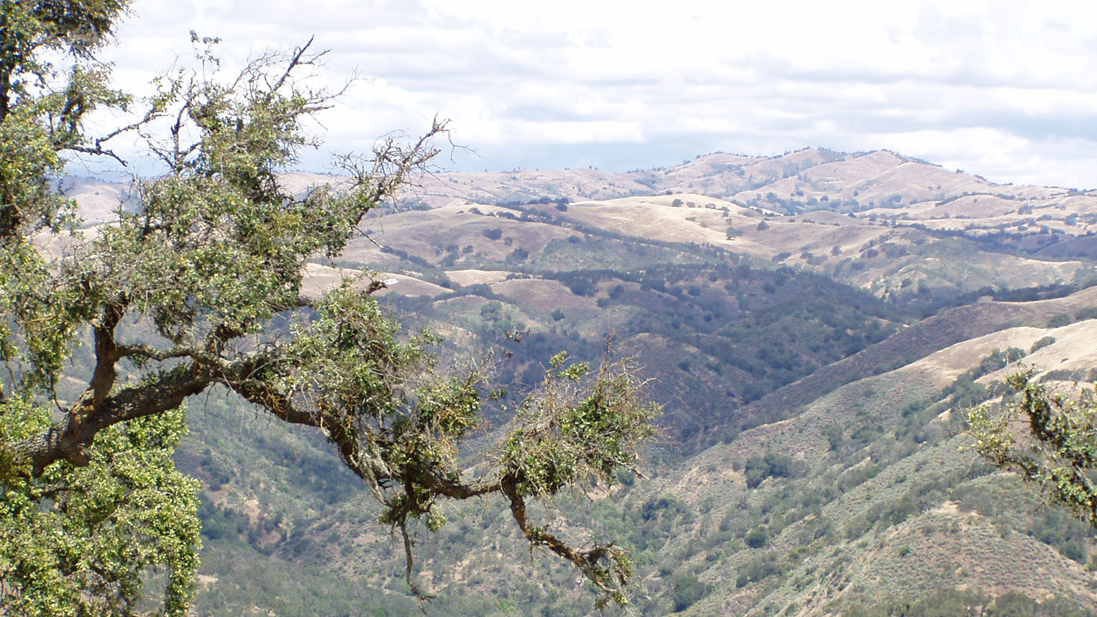 Clark Company Rancho El Toro